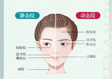 上海九院除皱价格！医院收费透明公开！价格表参考
