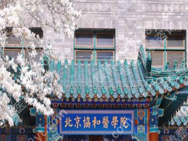 北京协和医院隆鼻价格多少？费用在 6 - 10 万元不等
