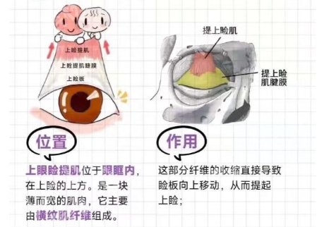 哈尔滨割双眼皮哪家医院好？一键查询医院详细信息！