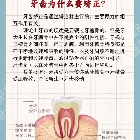上海牙齿矫正正规医院排名！医院技术好|收费也合理！