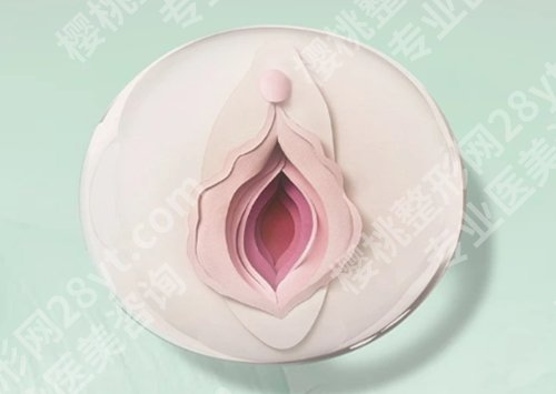 广东省第二人民医院私密整形怎么样？科室信息|医生名单速看