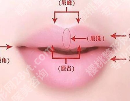m唇手术大概多少钱？M唇费用5000元起