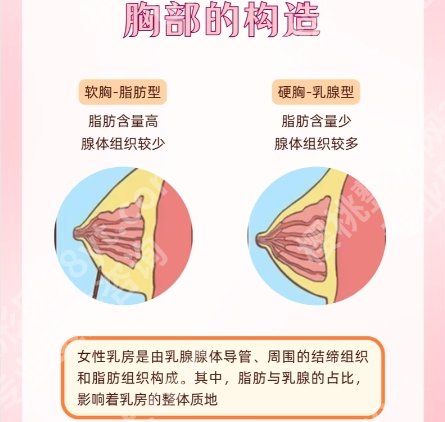刘中策属于正高医生吗？医生基本简介详情介绍！速速围观
