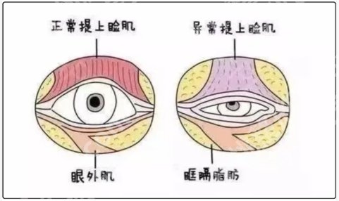 威海割双眼皮哪个医院好？威海市立医院|威海市中心医院|威海市中医院等值得信赖！