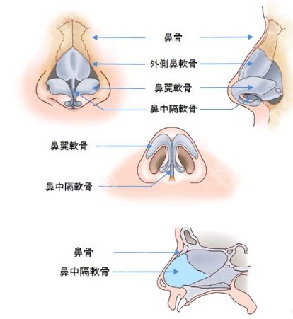 做鼻骨矫正手术多少钱？全流程预算公开，是5千还是5万？