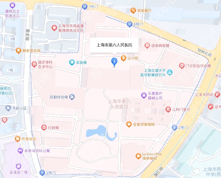 上海第六人民医院种牙多少钱一颗？国产种植牙4k起？