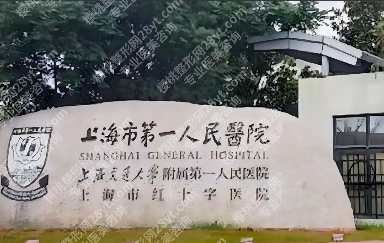 上海第一人民医院整形科医生深度剖析，助你开启美丽蜕变之旅