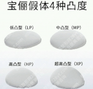 宝俪有哪些系列？S/R/法芮娅全解析，附价格+适配指南