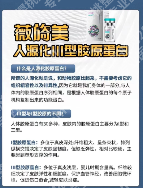 薇旖美三型胶原蛋白价格赶紧收藏！“机构-价格-适配”精准表（2025实测）