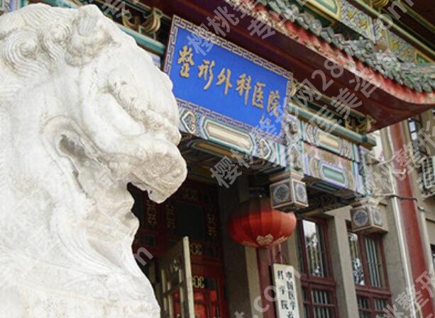 八大处隆鼻专家排名有哪些？周栩、王太玲、谢洋春医生详解及实用贴士分享