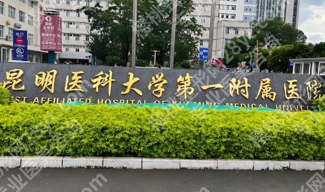昆明吸脂三甲医院推荐哪家好？2026全新医院名单揭晓
