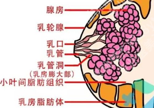 上海九院隆胸技术怎么样？技术优势+特色案例！