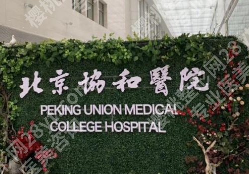 协和医院隆鼻哪个医生好？龙飞、王阳、黄渭清榜上有名！
