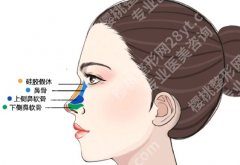 西安西京医院整形鼻子价格，隆鼻材料差异+项目组合费用明细
