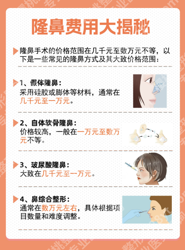 南方医科大学南方医院隆鼻多少钱？从“单一”到“综合重建”的成本分析