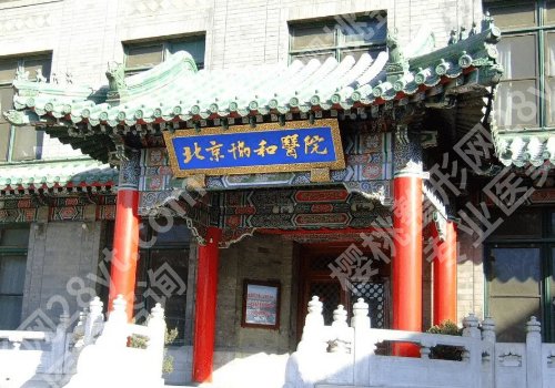 北京协和隆胸费用公开|人气医生、面诊技巧等揭晓