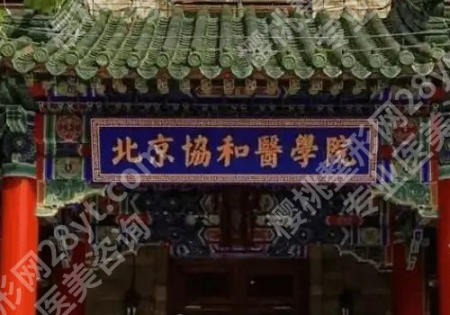 协和医院吸脂挂什么科?整形科哦~2026实测案例+术后小tips