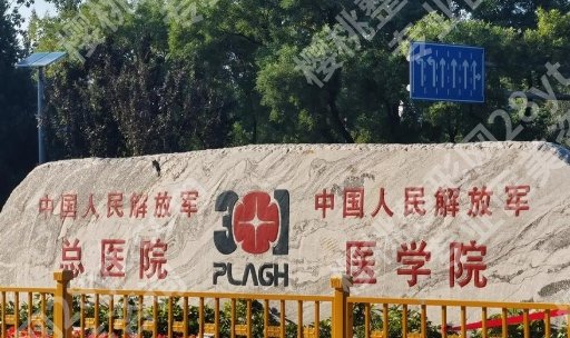 北京301医院做鼻子怎么样？从案例到口碑全解析！