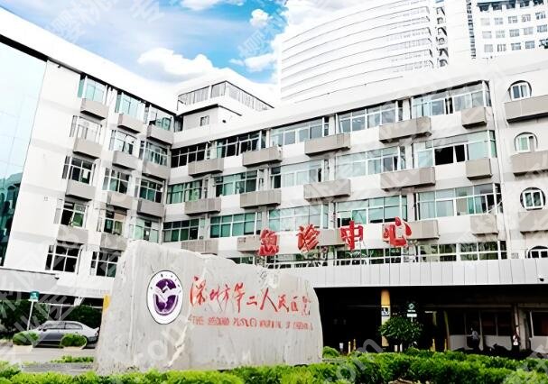 深圳第二人民医院植发经历|亲测3个月,发缝从透光变浓密