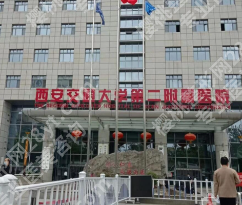 在西安交大第二附院植发1年,打工人终于摆脱大宽发缝