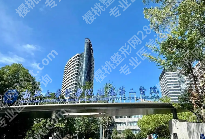 浙医二院种牙怎么样？种牙详情查看，2026价格曝光