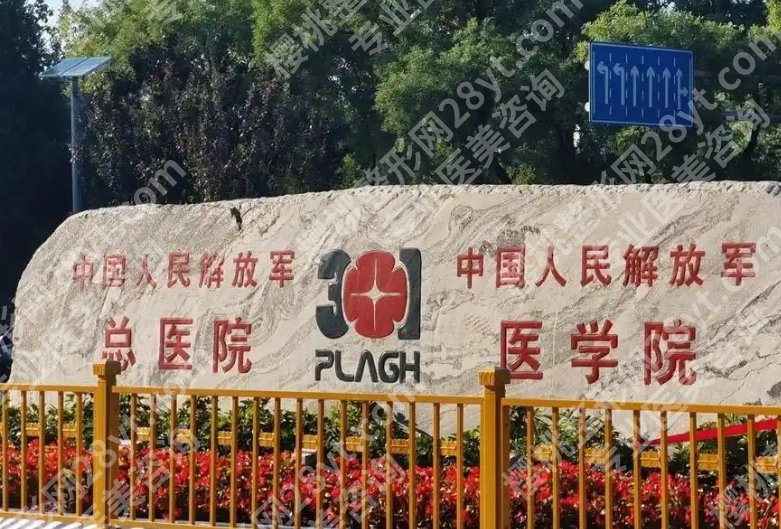 北京301医院吸脂怎么样？从预约到恢复的完整经历分享