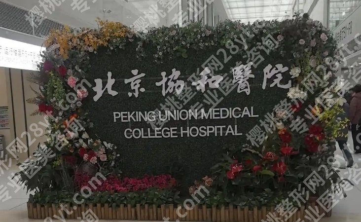 北京协和美容科专家表，擅长方向、出诊时间都整理好了