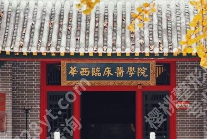 华西隆鼻厉害三个医生，3位口碑强的方向盘点，适合人群各不同