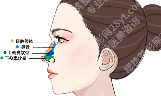浙一医院假体隆鼻多少钱?价格区间及就诊建议梳理,建议收藏