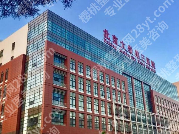 北医三院隆鼻比较好的医生有哪些？李东、李比、薛红宇谁更对味？