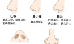 上海华美整形医院价格？美容价格表一览来了！