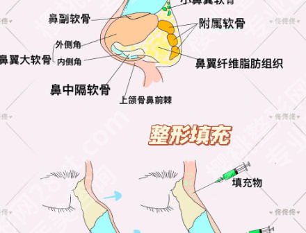 金华鼻修复医院排名有哪些?综合实力Top5及医院详情解读!