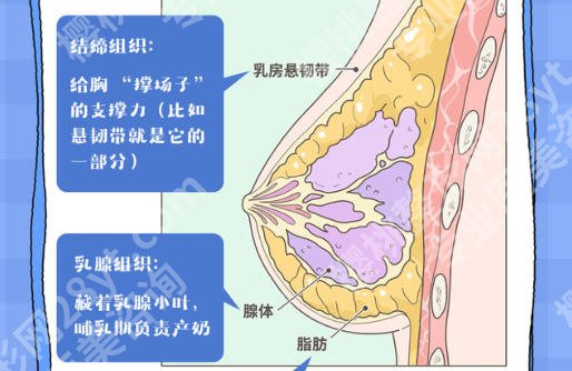 江南大学附属医院腹壁整形怎么样？医生技术与审美俱佳！