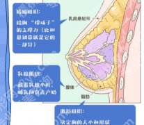 南医大二附院丰胸手术价格是多少？医院信息及价格表更新附人气医生介绍！