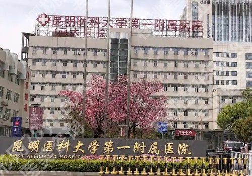 玉溪种植牙多少钱一颗?大概7000元起!人民医院技术稳定