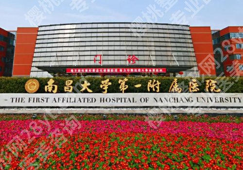 南昌种植牙多少钱一颗?6000元起,人气医院对比,让你轻松选对