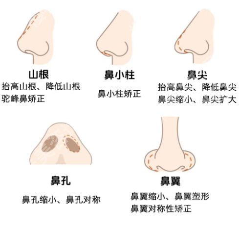 薛克墘医生在海峡多少年了?医生简介及坐诊医院详情曝光!