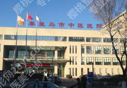 秦皇岛激光祛斑哪家好?市第一医院、巧致等技术测评,附价格表