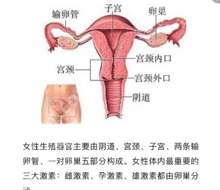 杭州紧缩针三甲医院排名榜单揭晓!浙大二院、浙大一院都是实力派!