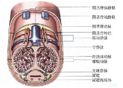 合肥增粗增长医院排名揭晓！人气高的医院这里有