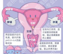 南昌紧缩针多少钱一支？哪里可以打？曝光这几家口碑医院