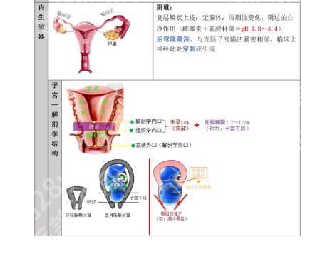 北京哪个医院做阴道紧缩术？医院名单揭晓！速速来看