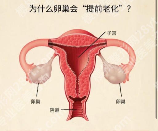澄海南方医院整形美容科怎么样？本地人私藏的变美基地！