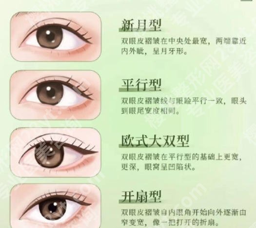 北京朝阳医院美容整形怎么样？医生技术、收费价格、术后口碑全面解析