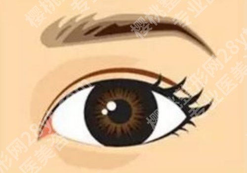 郑州眼修复杨丽医生怎么样?附【实力测评+案例鉴赏】