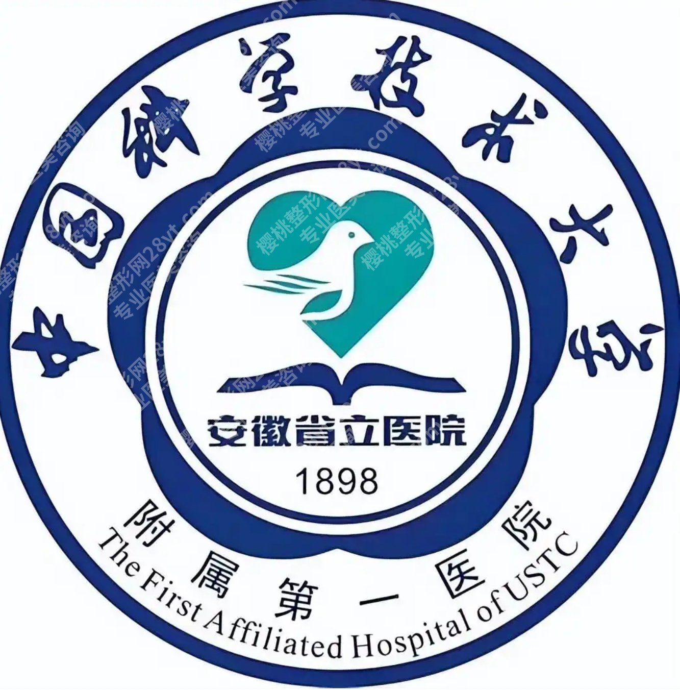 安徽省立医院整形外科钟晓红怎么样？擅长项目与就诊信息集中了解