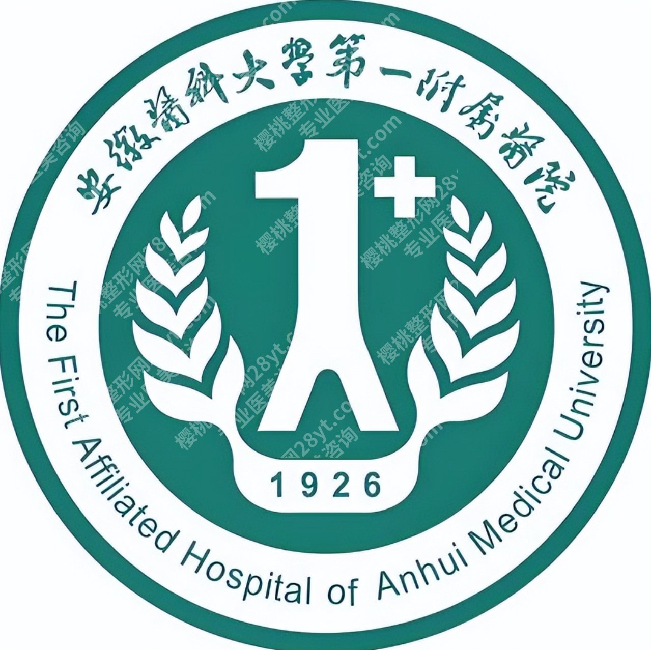 安徽医科大学第一附属医院整形科2026介绍,医生和项目情况集中梳理