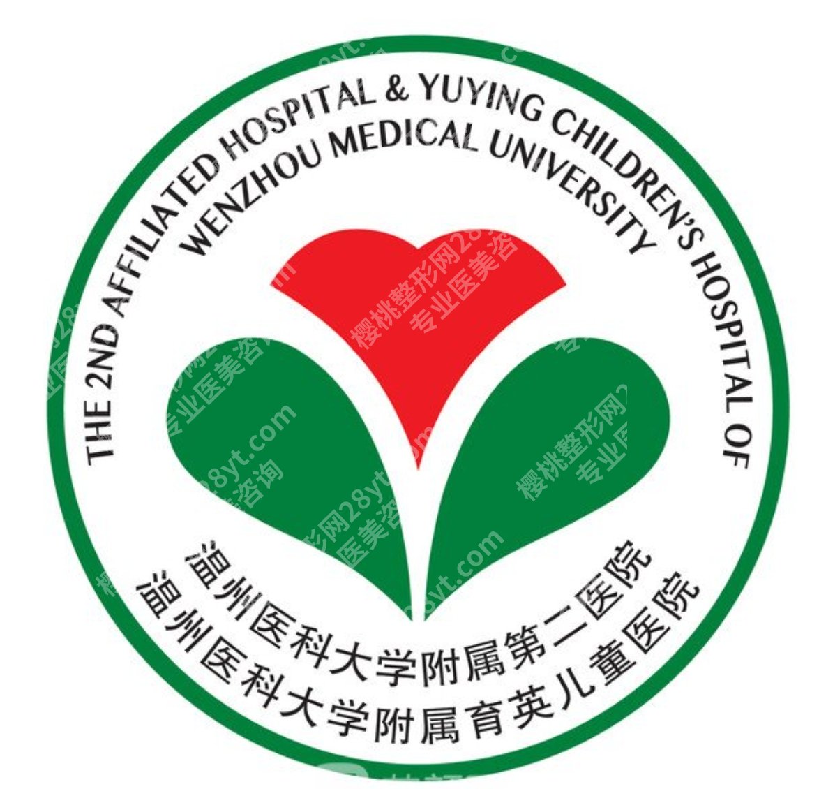 温州附二医光子嫩肤哪个医生好点？皮肤美容医生及光电项目方向盘一盘